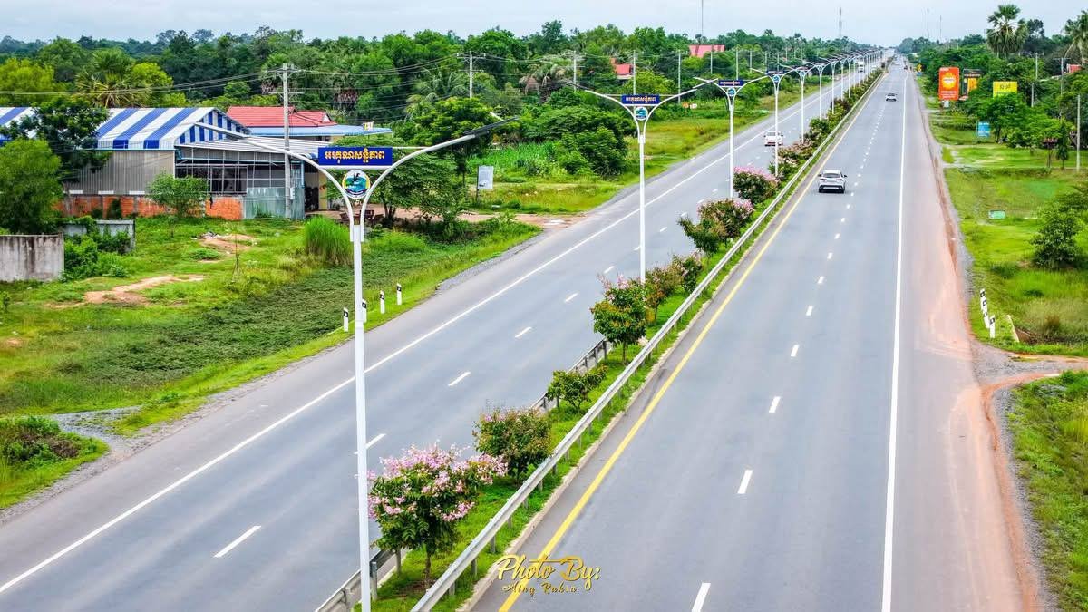 5号公路菩萨省段番石榴树花开 景观宜人