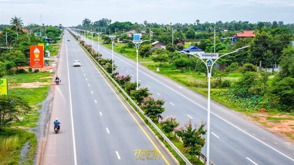 5号公路菩萨省段番石榴树花开 景观宜人