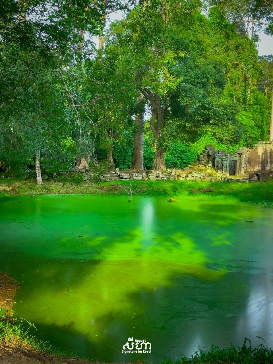 暹粒圣剑寺雨季景观上线 绿色古迹成打卡热点
