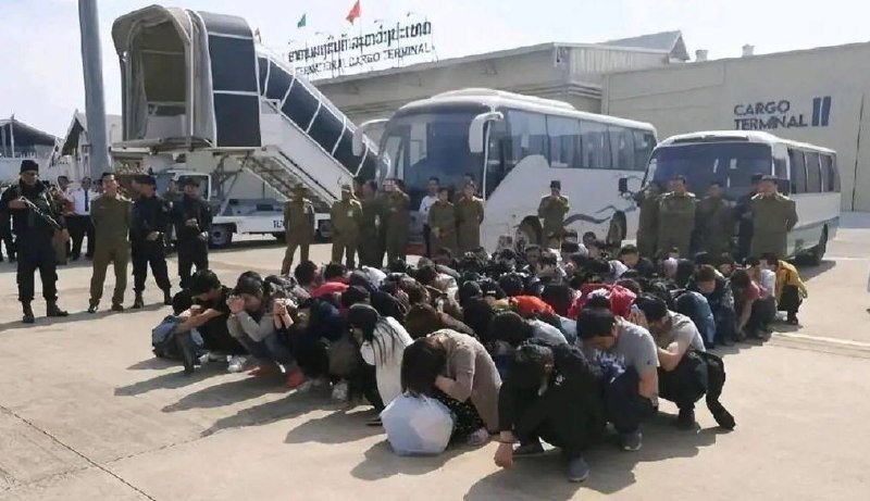 中国外交部发言人林剑回应巴基斯坦抓捕百余名涉嫌电诈的中国公民