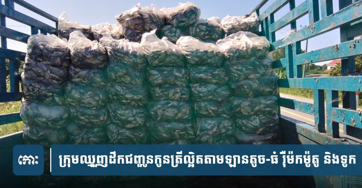 柬埔寨水产资源保护告急 政府拟加强非法捕捞监管