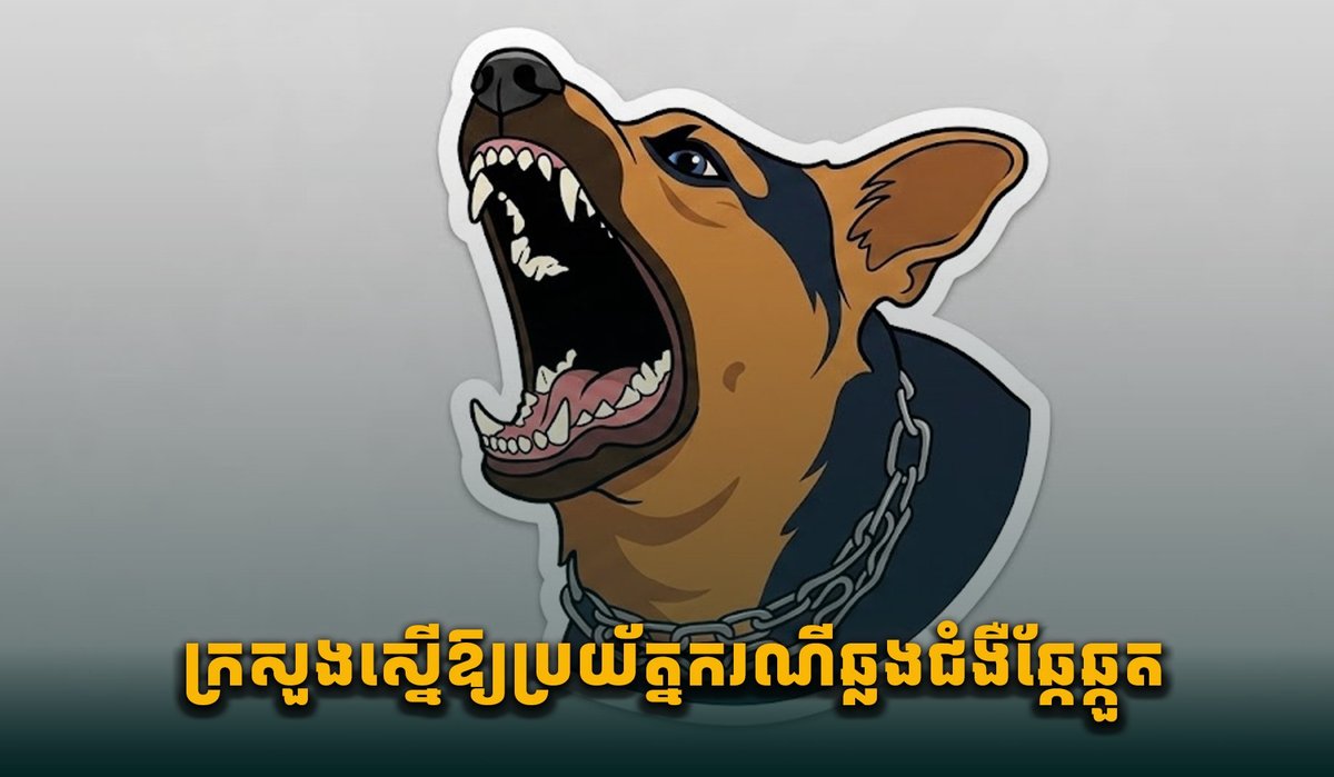 柬埔寨卫生部发布狂犬病预警 呼吁民众加强防范