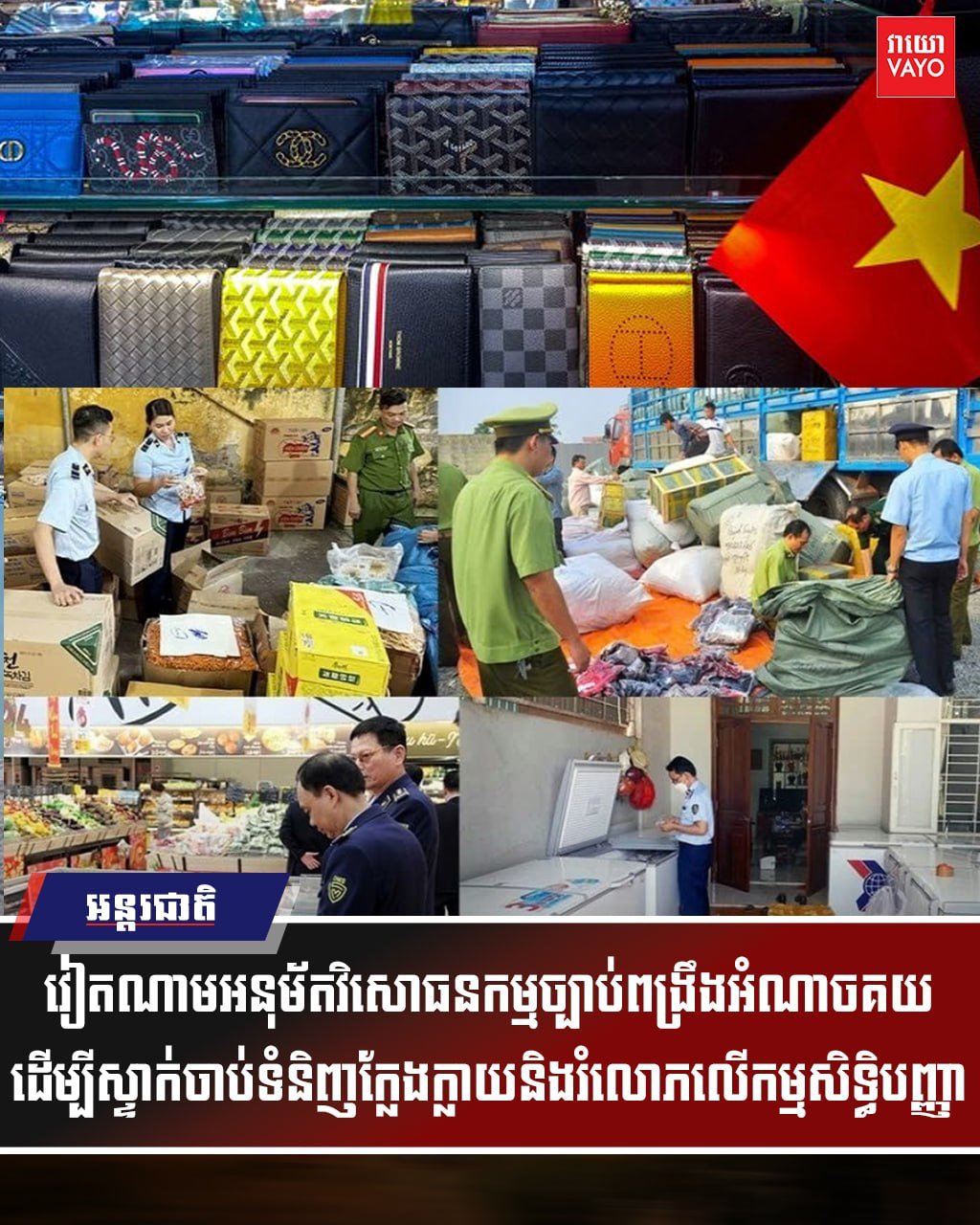 越南修订海关法强化打击假冒伪劣与侵权
