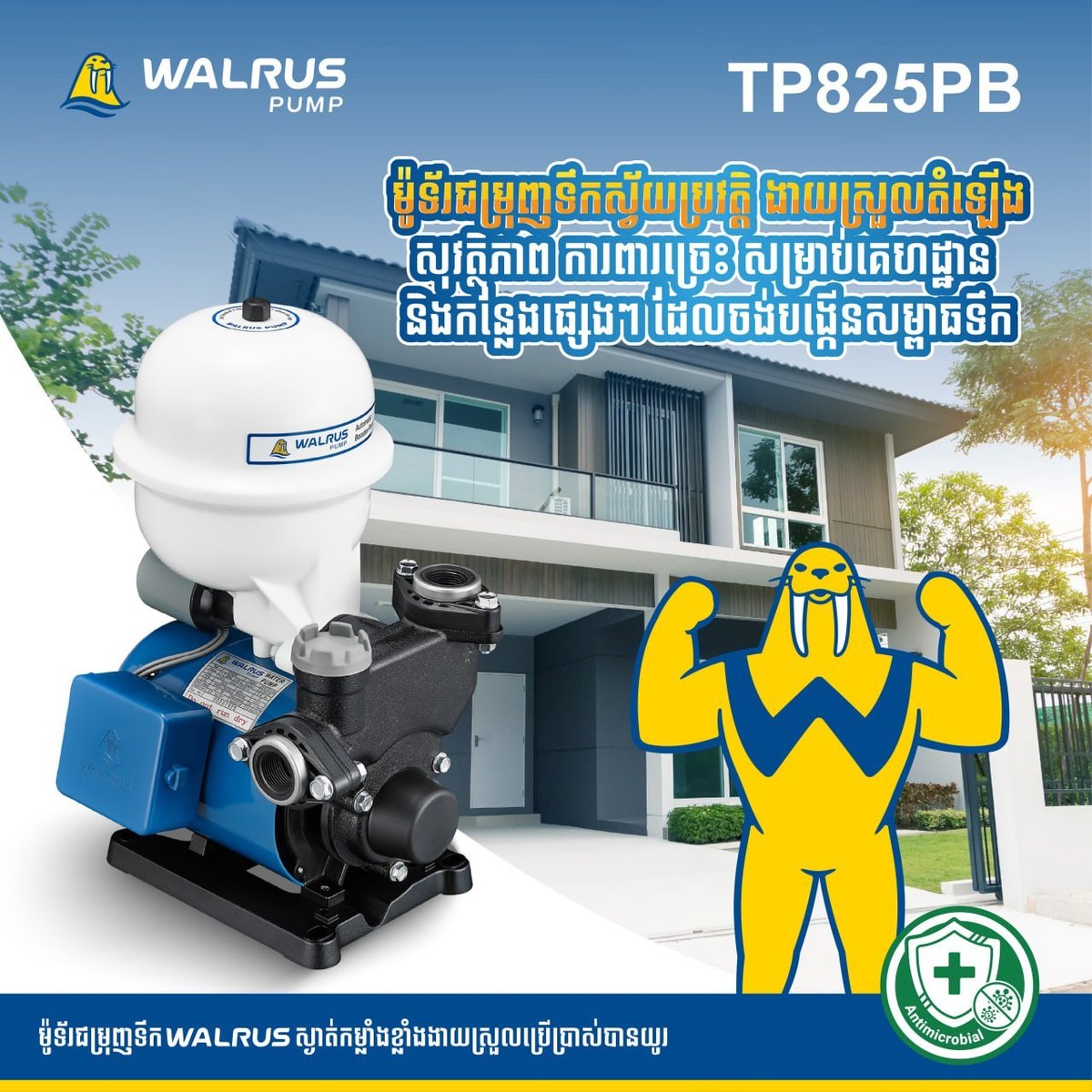 TP825PB增压水泵销售 节能高效适用多层建筑