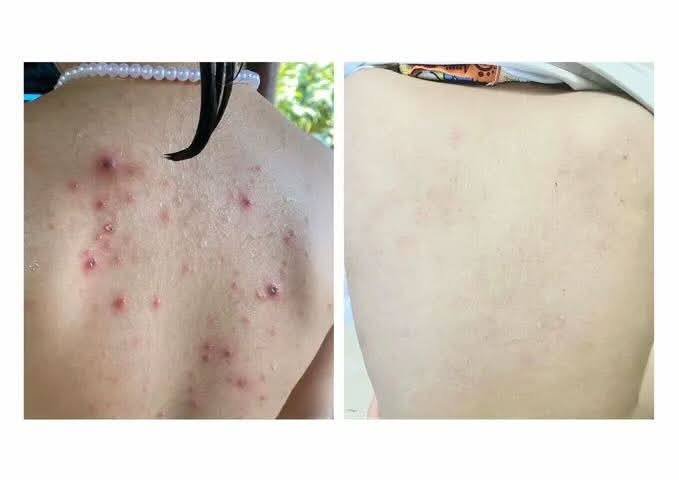 金边美拉洗护产品批发零售 1箱$84起
