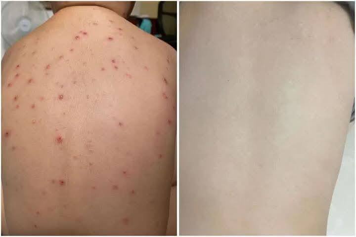 金边美拉洗护产品批发零售 1箱$84起
