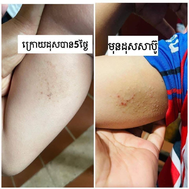 金边美拉洗护产品批发零售 1箱$84起