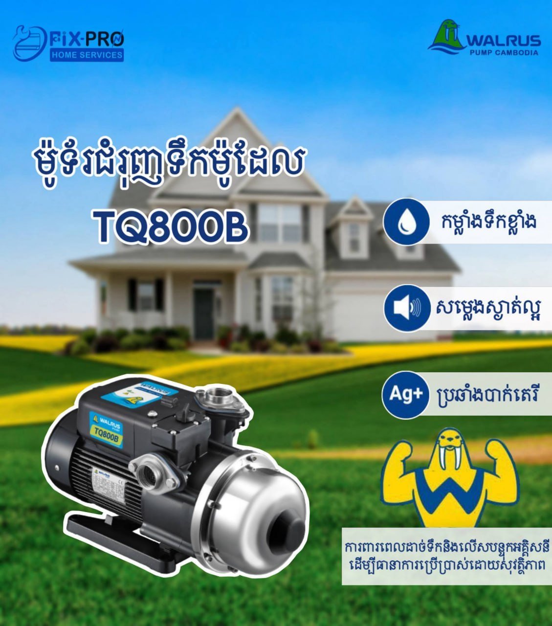 三层楼房静音增压泵推荐 TQ800B与HQ800B型号