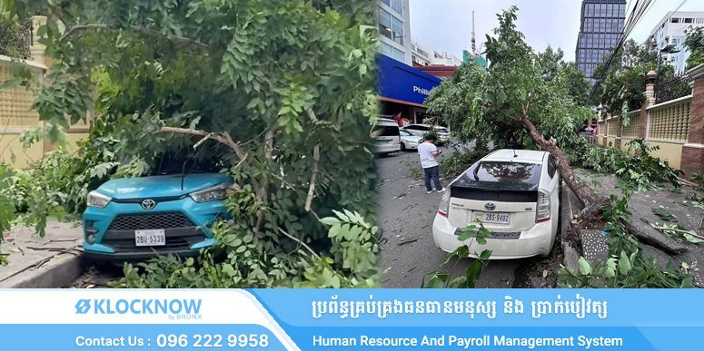 金边BKK区突发强风暴雨 3辆汽车被倒塌树木砸中
