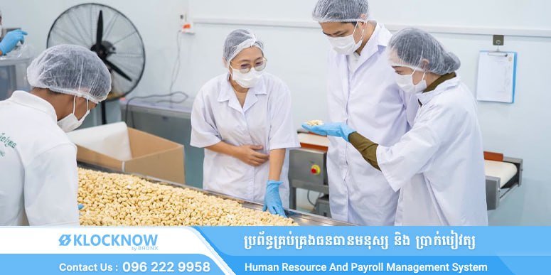 柬埔寨将向英国出口腰果及谷物制品