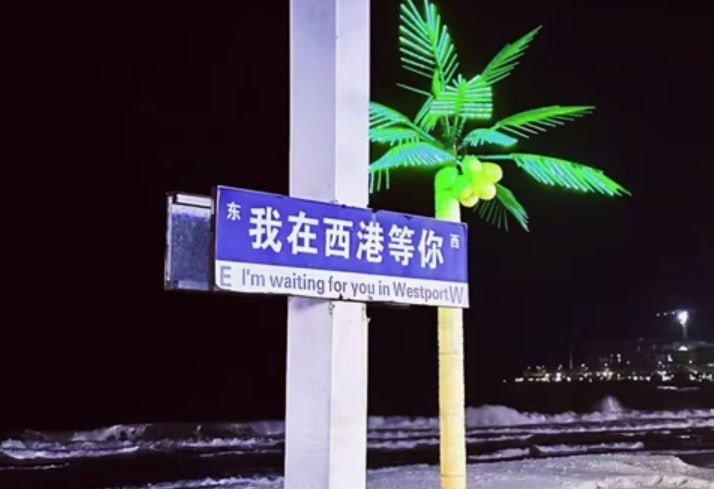 在柬埔寨淘金者的反思