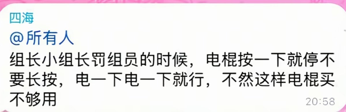 关于东南亚务工与犯罪的社会讨论
