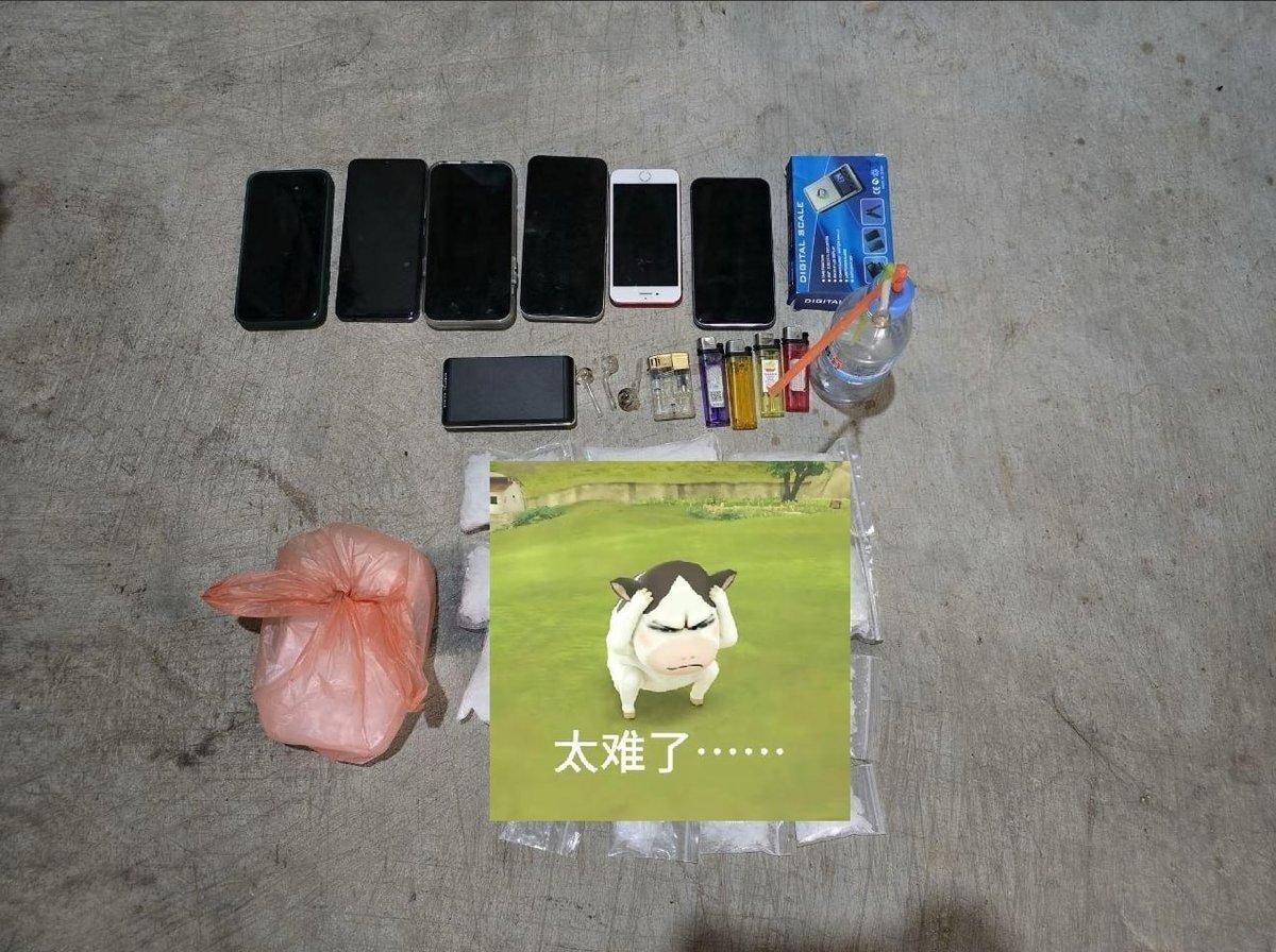西港半年抓获650名涉毒人员 含90名中国人