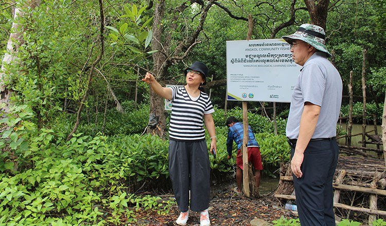 中国林业专家完成柬埔寨沿海红树林考察 助力生态修复