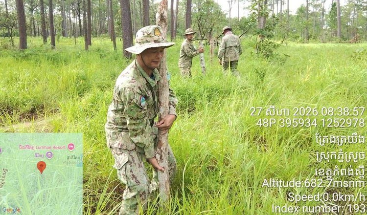 环境部严打非法侵占林地 实居省保护区收回2.7公顷