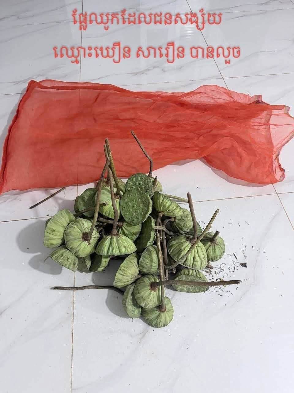 阿雷沙市警方抓获一名偷窃30余朵莲花的嫌疑人,目前已移交警察