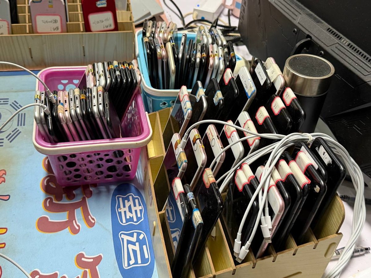 柬埔寨打击网诈行动冻结超3亿美金 446起案件移交法院