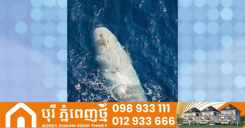 伊朗扣押美国无人潜航器引发地区局势关注