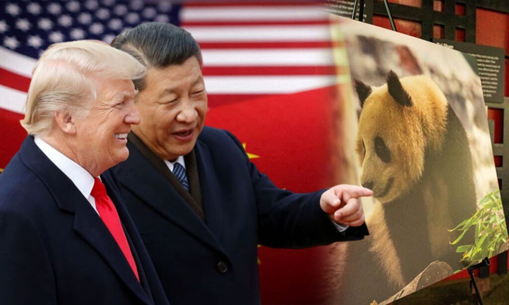 习近平宣布向特朗普赠送两只大熊猫,旨在加强双方外交关系