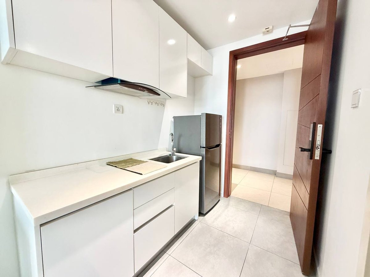 金边The Penthouse Residence一房公寓出