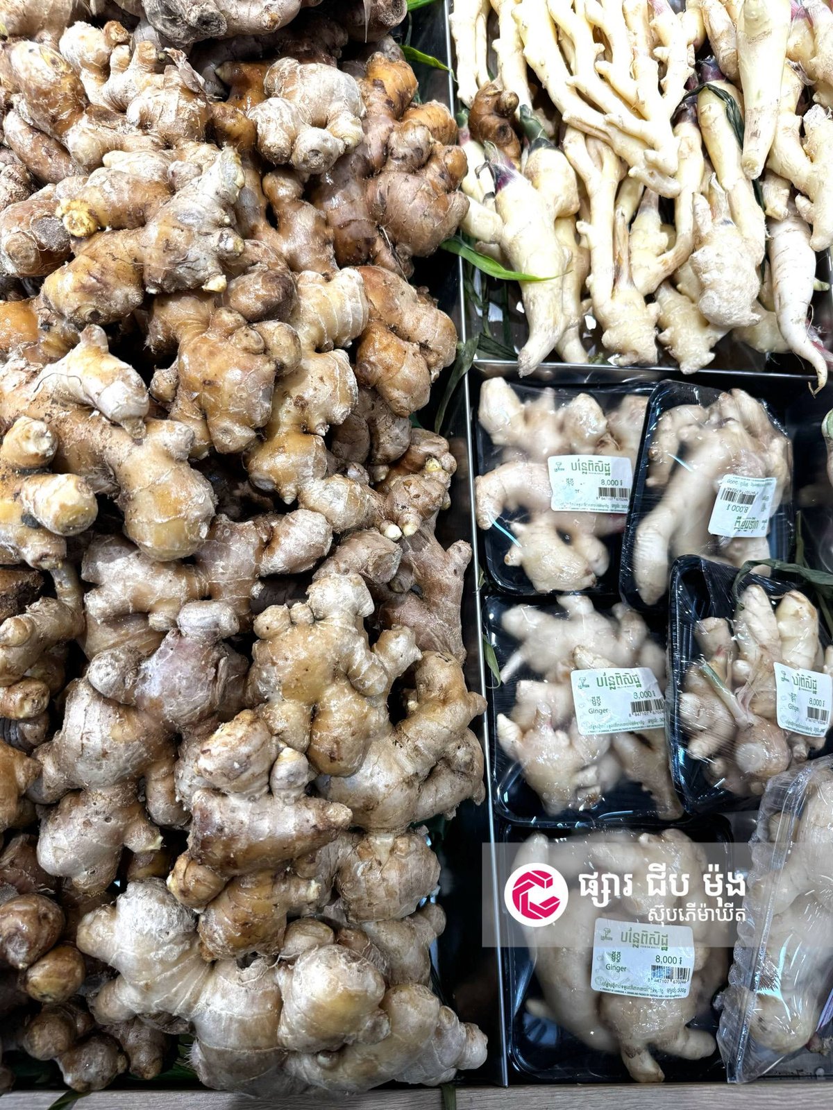 集茂超市全线生鲜每日上新 门店覆盖金边各区