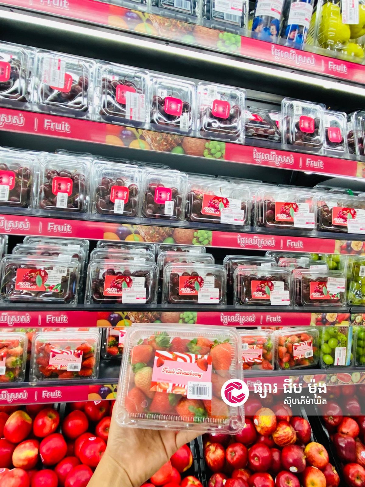 集茂超市库尔斯路分店 每日供应新鲜水果蔬菜