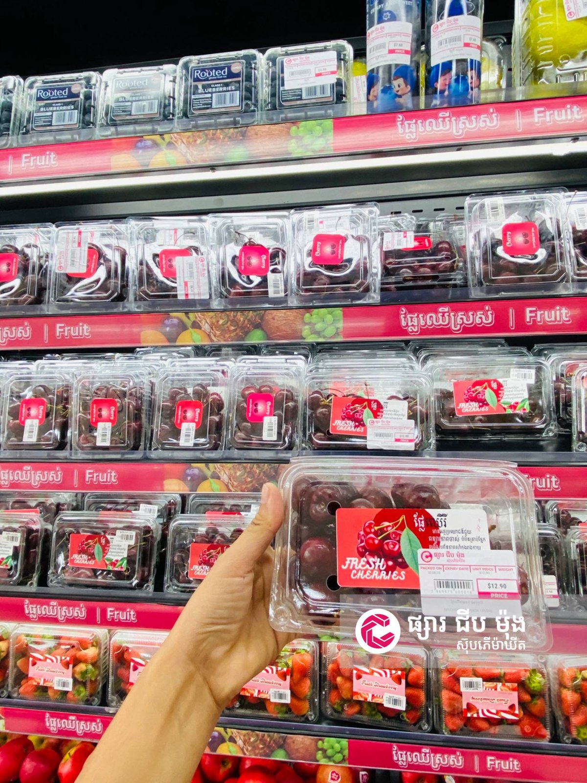 集茂超市库尔斯路分店 每日供应新鲜水果蔬菜