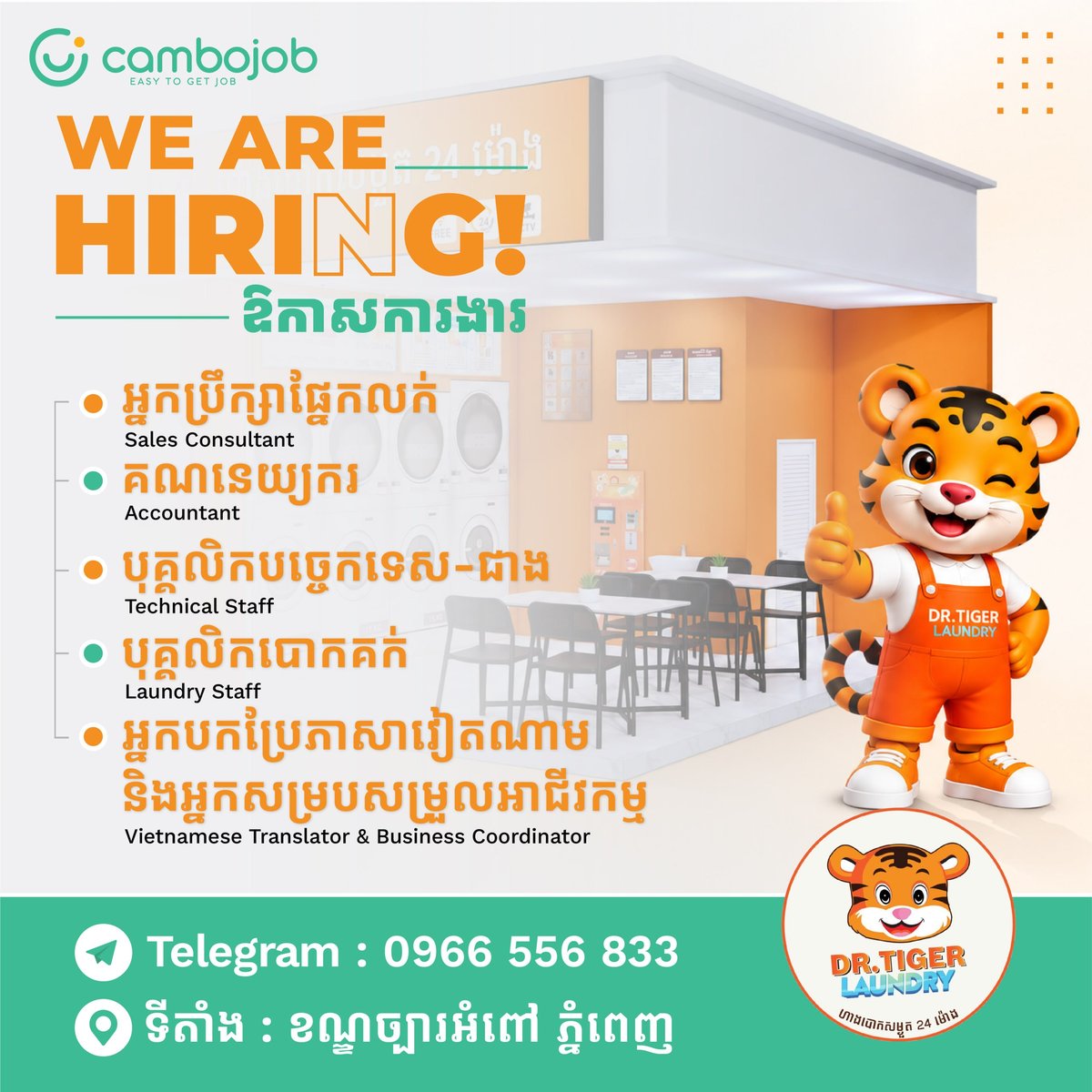 Dr. Tiger Laundry Cambodia急招销售