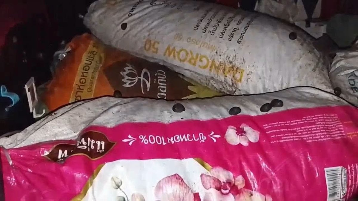 国公省查获一批非法进口泰国食品 涉及大米及调味品