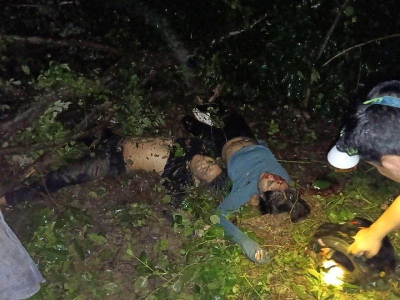 柴桢省立医院发布寻亲公告 涉及一起交通事故死亡案件