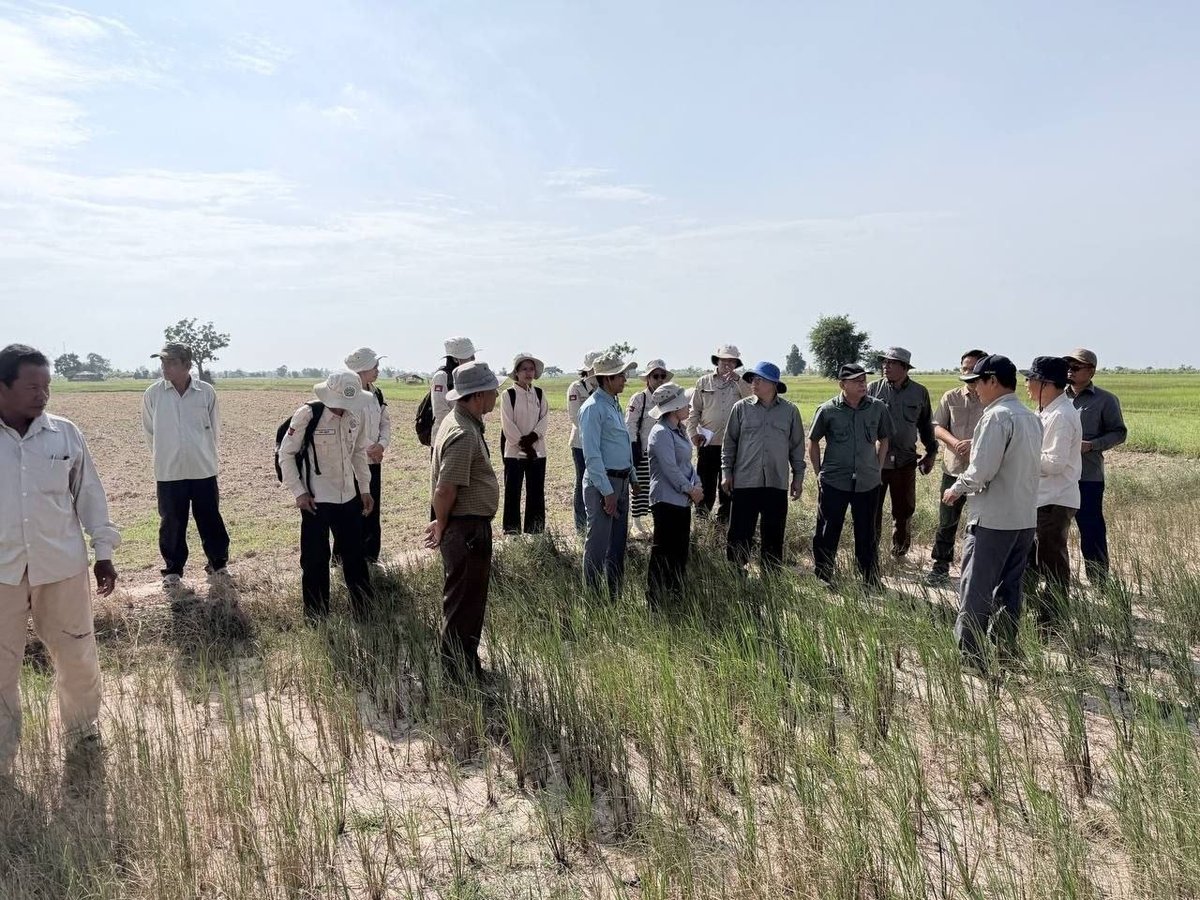 磅湛省遭遇严重干旱 农业部赴实地评估受灾水稻