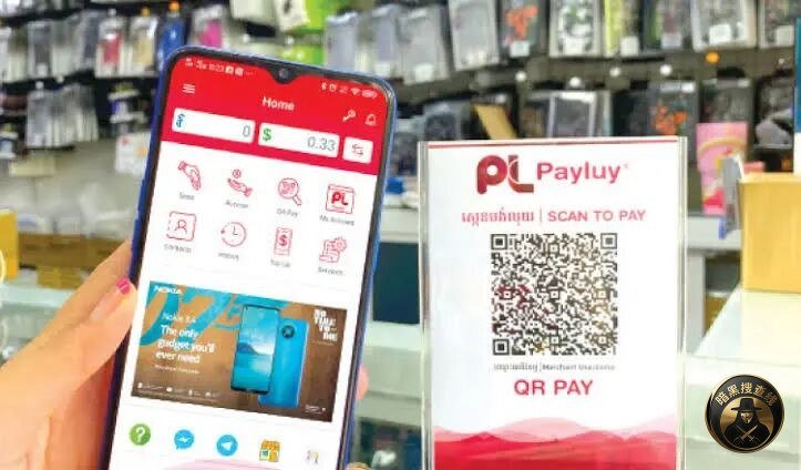 柬埔寨支付机构DRAGONFLY FINTECH正式启动清算