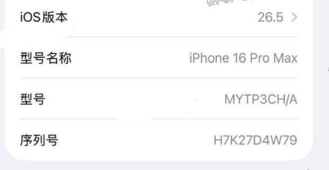 西港出售国行版iPhone16ProMax金色 $750