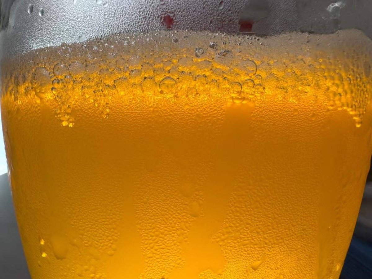 柬埔寨全境转让大型精酿啤酒设备 包技术支持