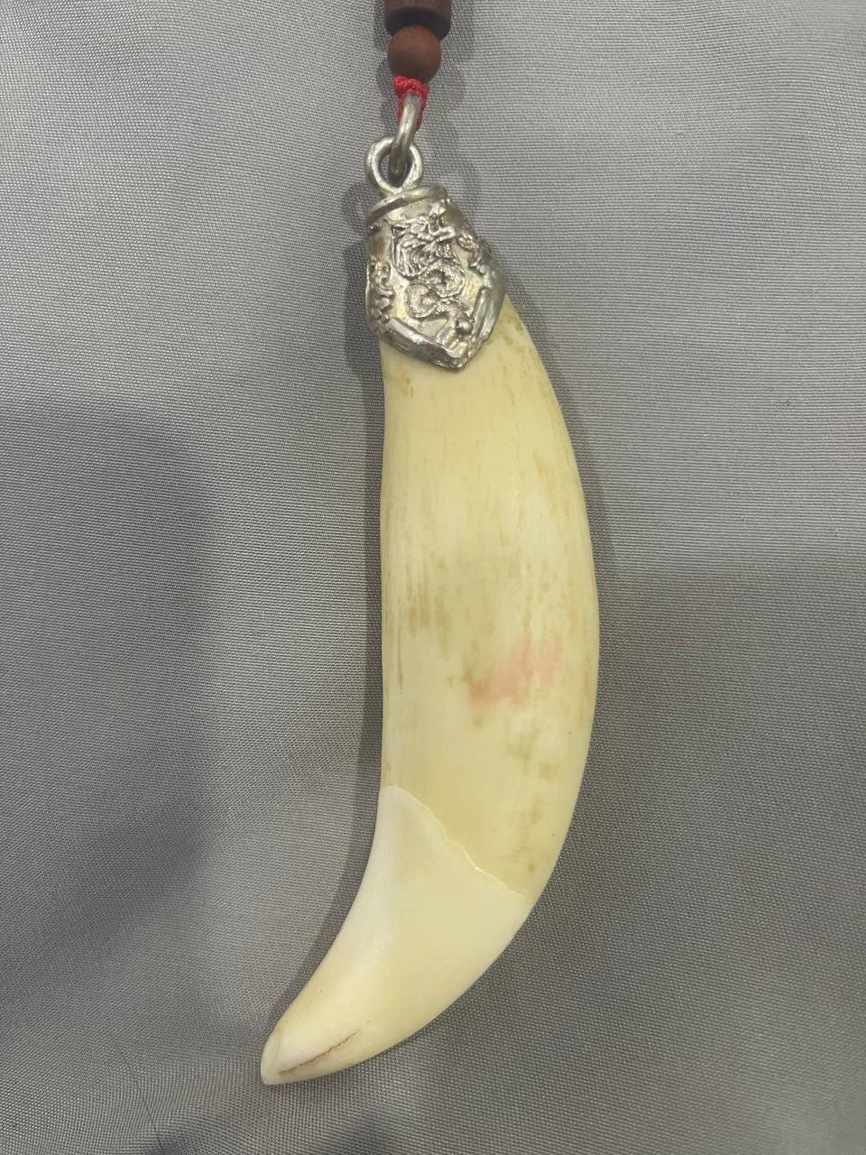 西港出售虎牙饰品 售价$700可小刀