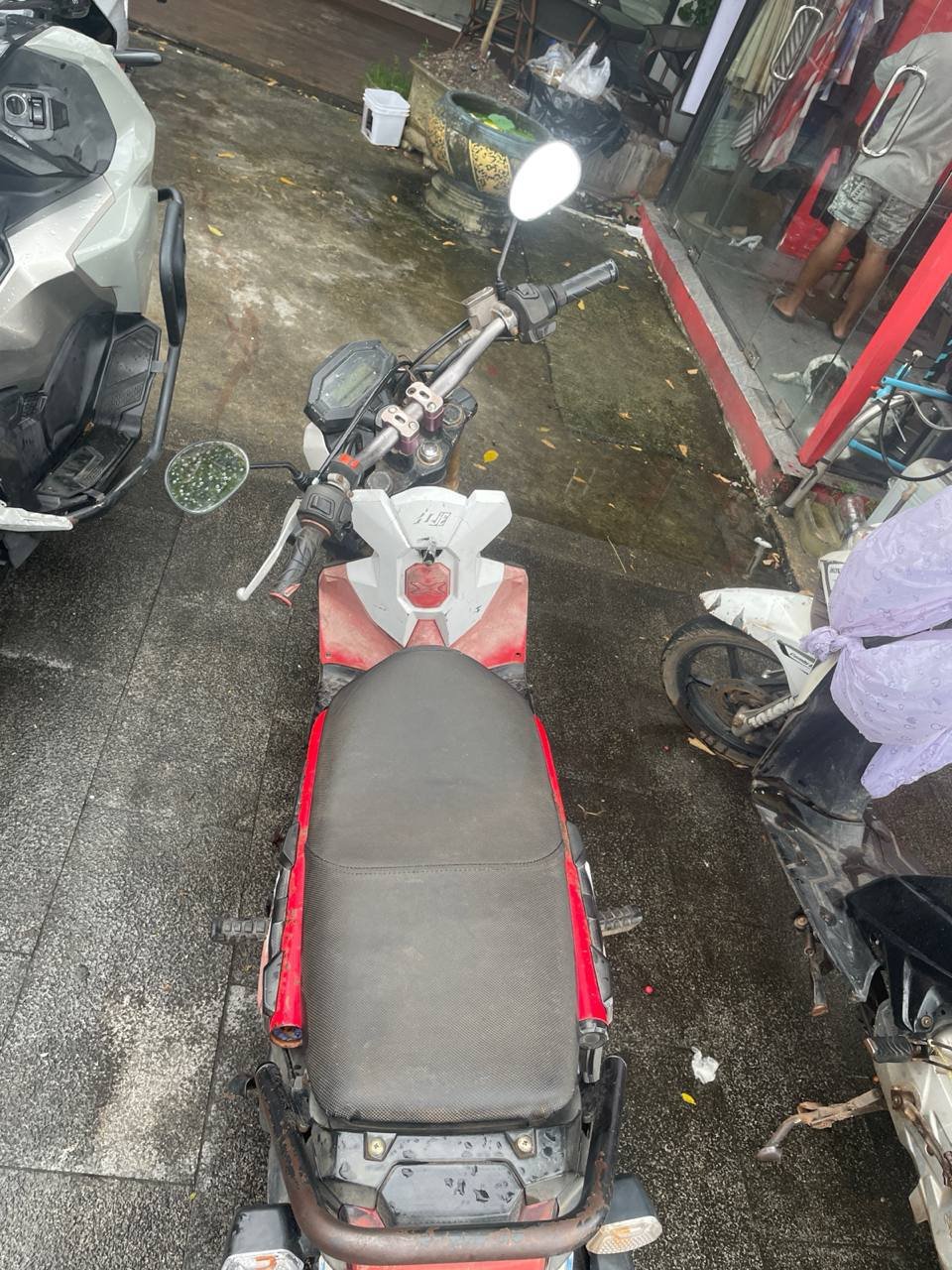 西港海豚附近转让祖玛摩托车 售价$250