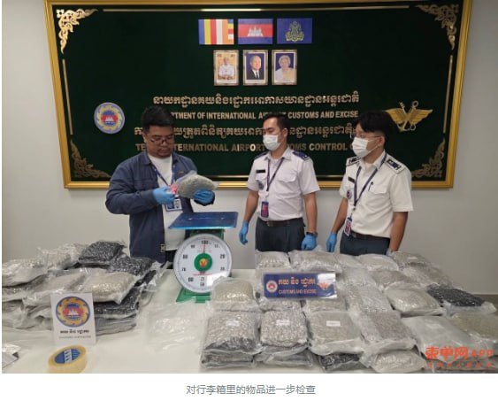 德崇国际机场查获34.5公斤大麻 一名外国旅客被捕
