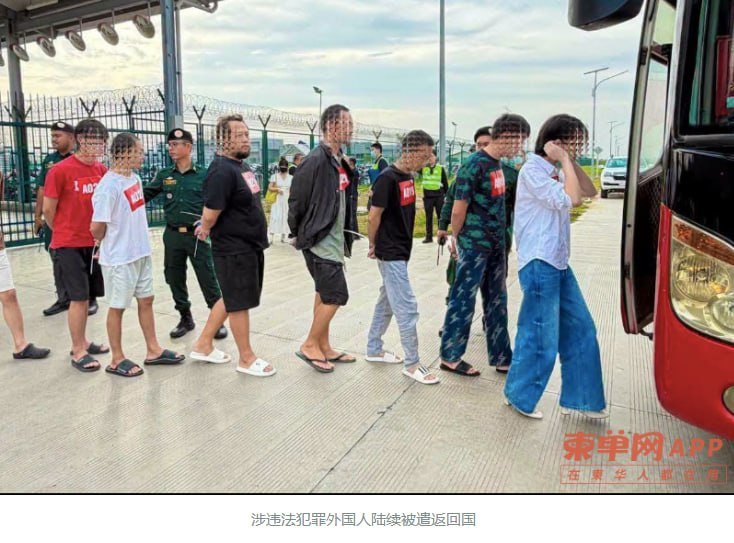 柬埔寨10天驱逐572名中国籍人员 涉及电诈及非法居留