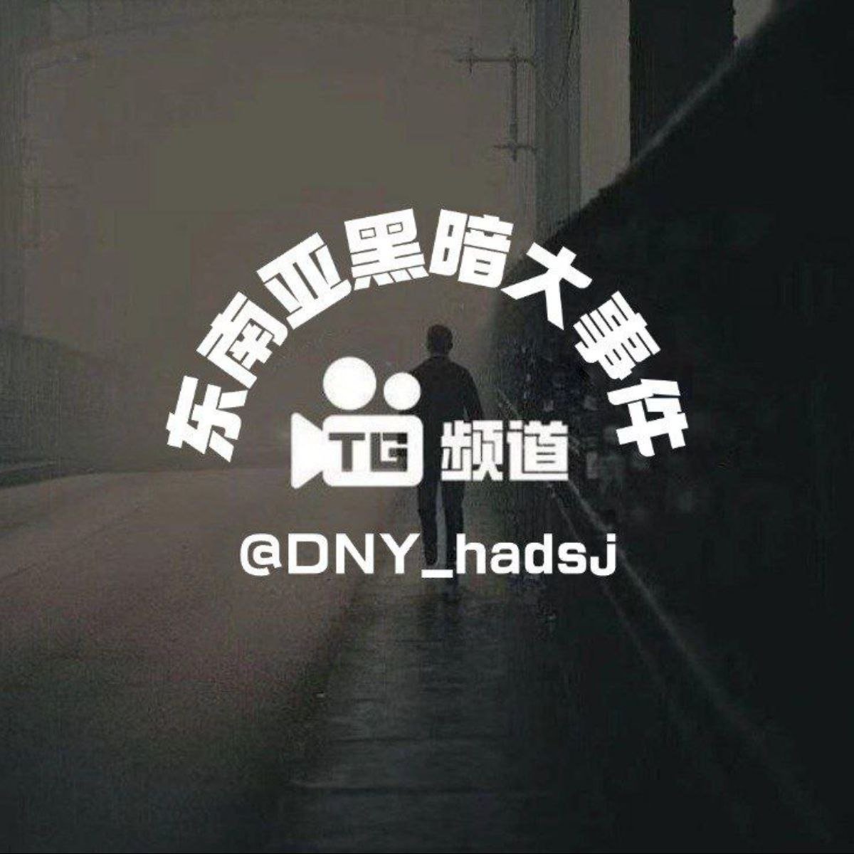 东南亚黑暗大事件频道订阅 揭露行业内幕