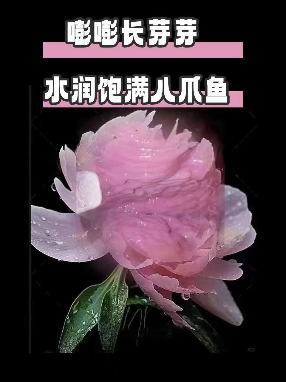 东南亚连锁医美机构提供皮肤管理及整形服务