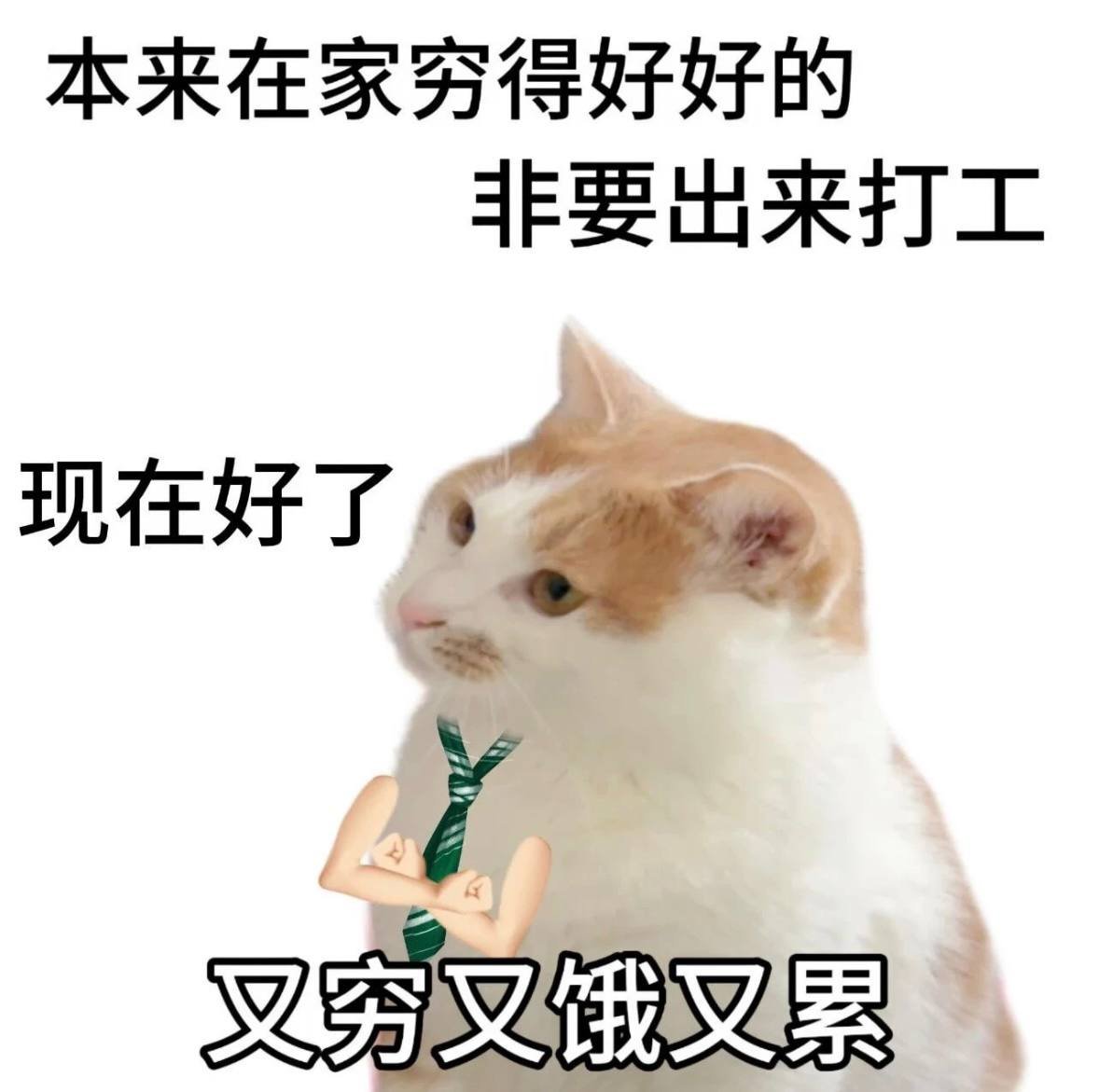 在柬职场人感叹生活压力 职场与生活平衡成难题