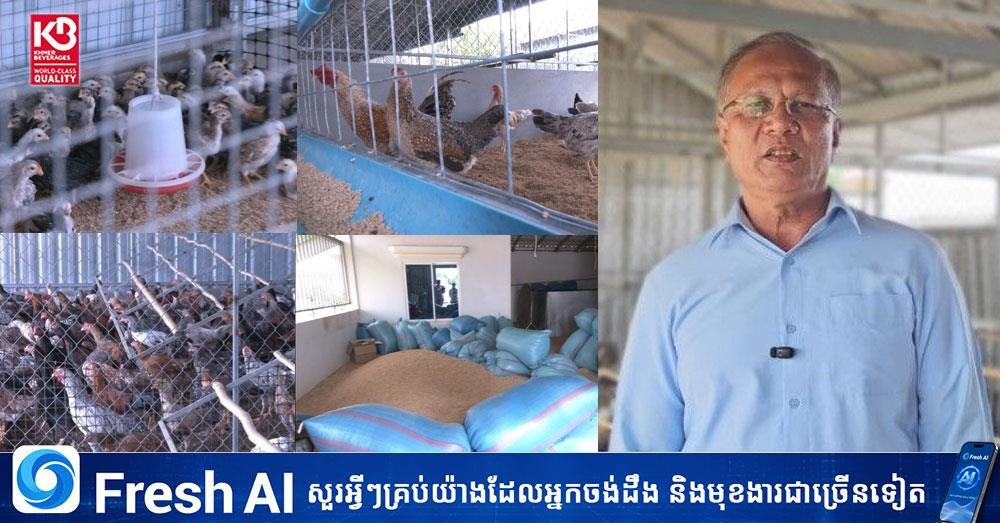 巴普农县退休官员转型养鸡 每日供应300公斤鲜肉