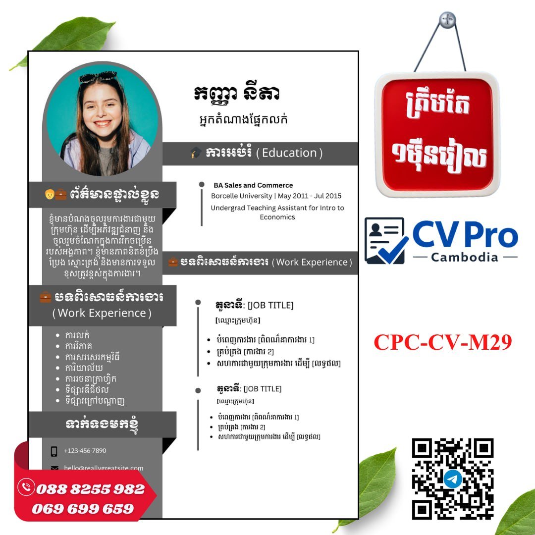 CV Pro提供$2.5专业简历设计服务