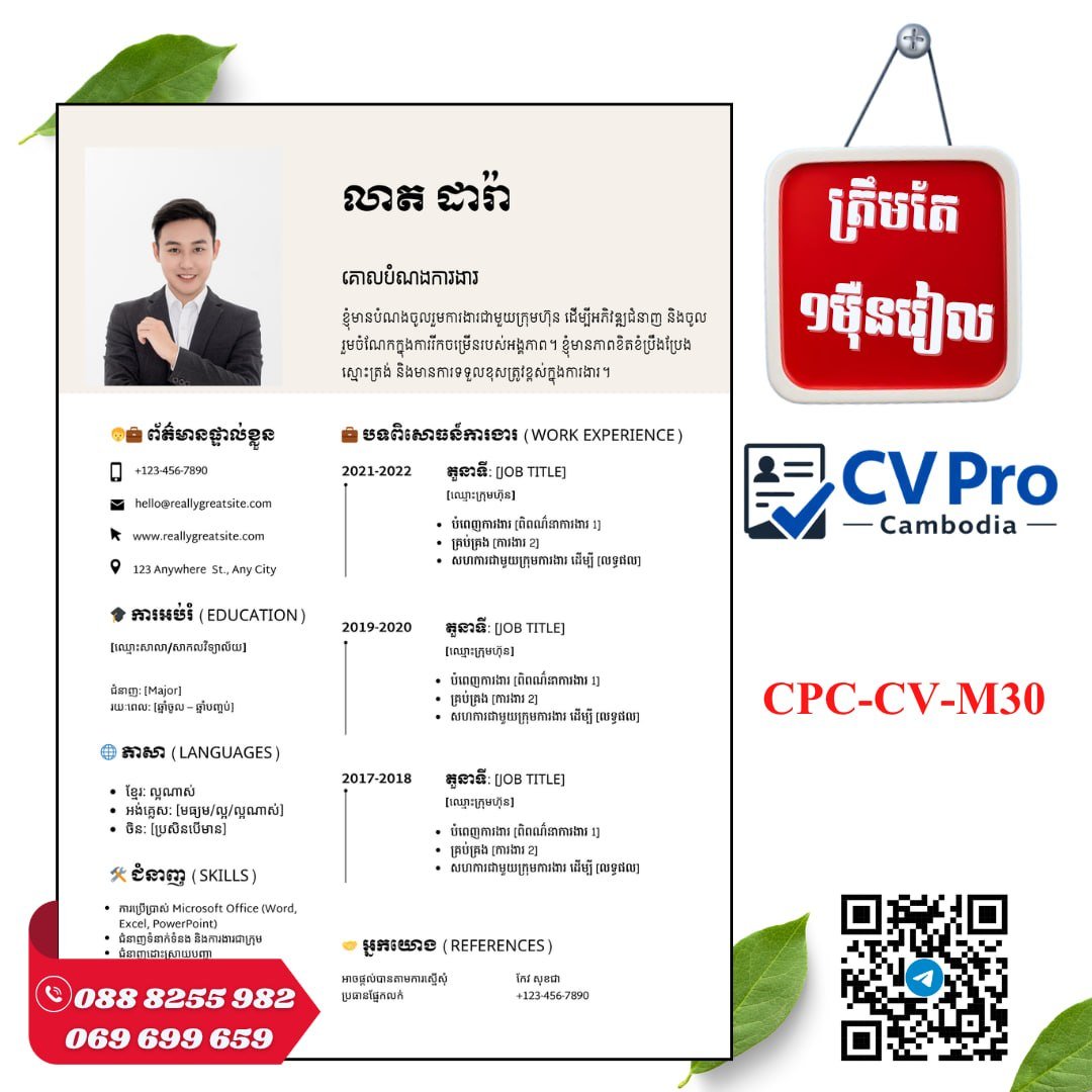 CV Pro提供$2.5专业简历设计服务