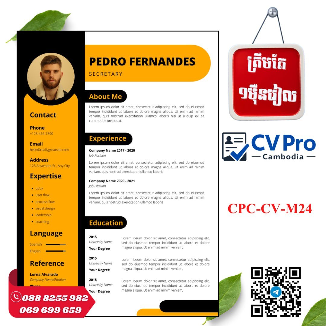 CV Pro提供$2.5专业简历设计服务