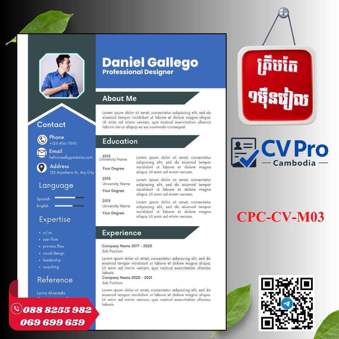 CV Pro提供$2.5专业简历设计服务