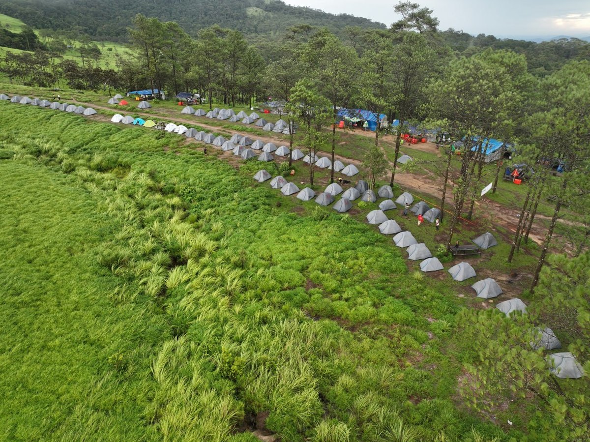 柬埔寨自然旅游区进入绿色季节 景观独特