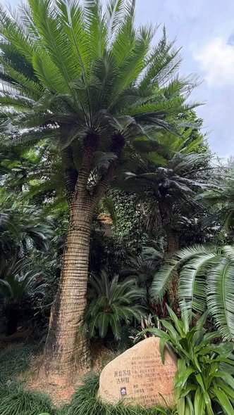 柬埔寨环境部推动自然保护区绿色旅游开发