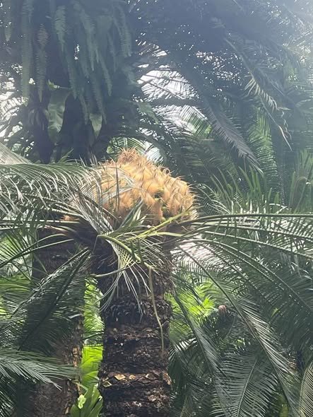 柬埔寨环境部推动自然保护区绿色旅游开发