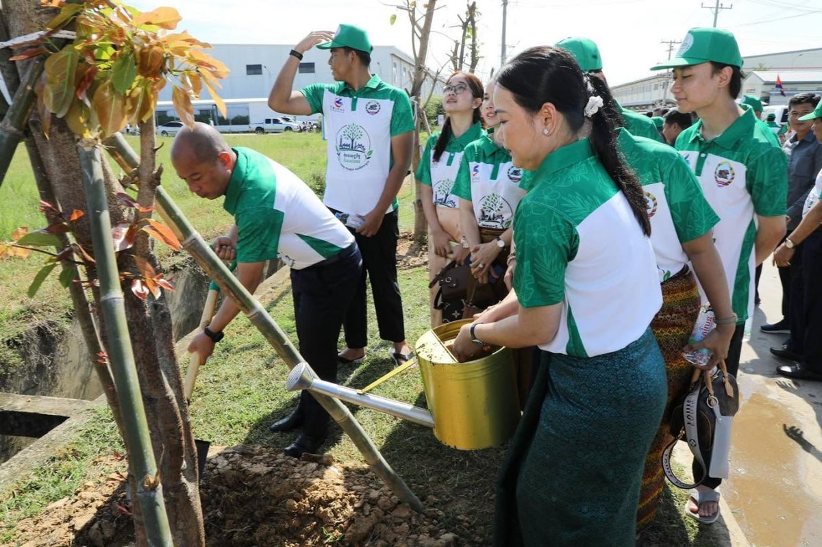 棉森婉呼吁全民植树造林 应对气候变化保护生态